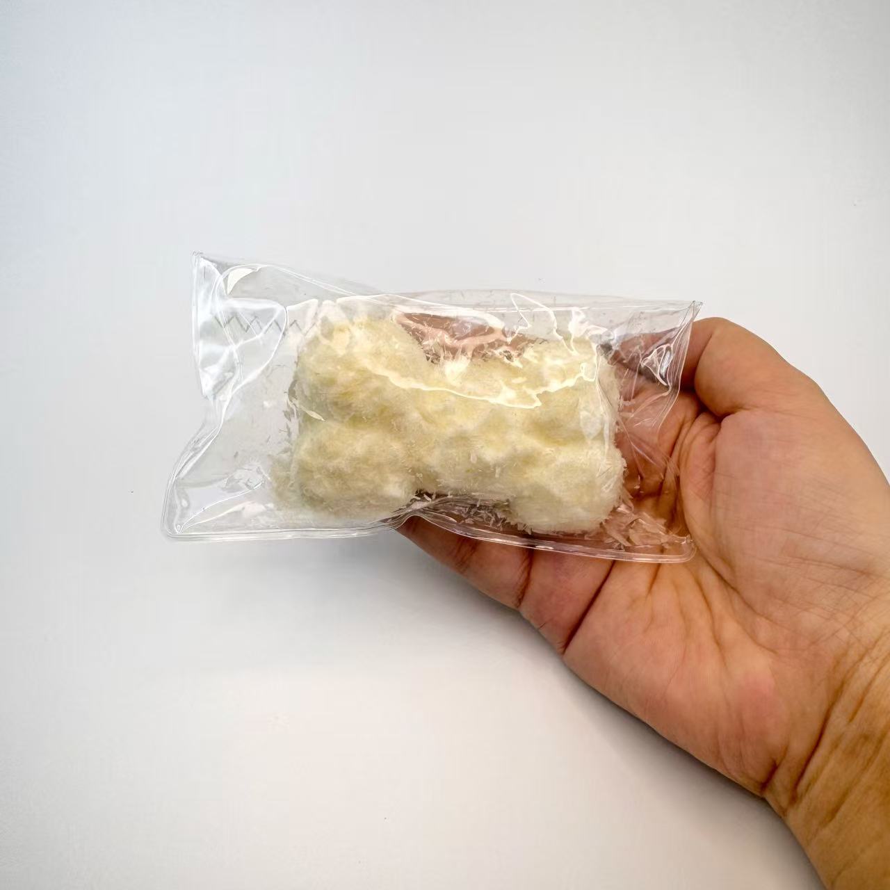 Coconut Bone Squishy